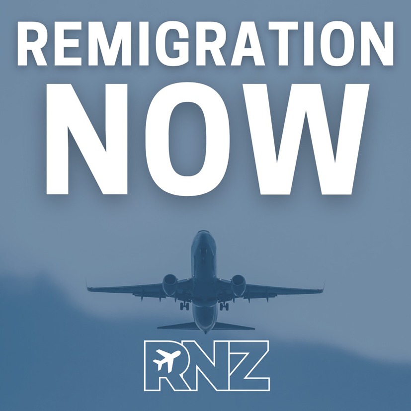 Remigration Now sticker example